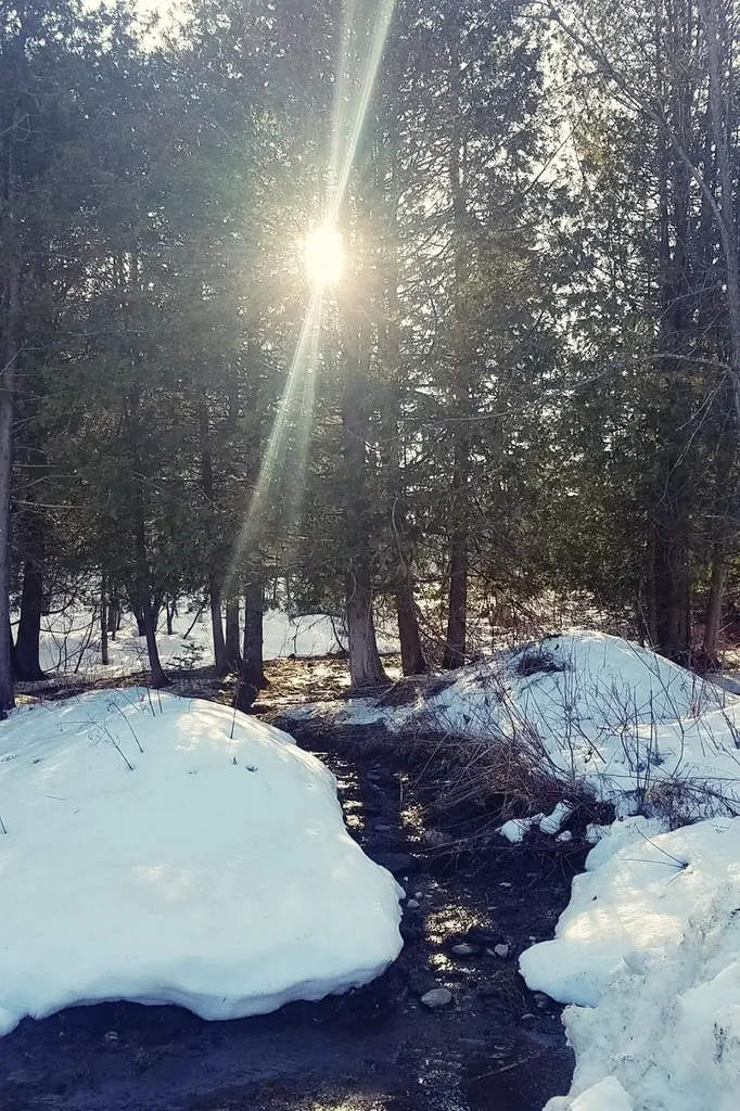 437 Phillips Road Glover VT 05875