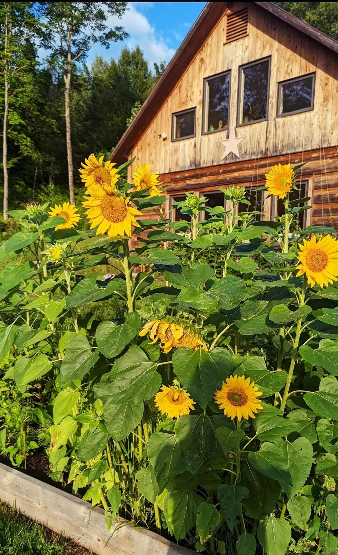 437 Phillips Road Glover VT 05875