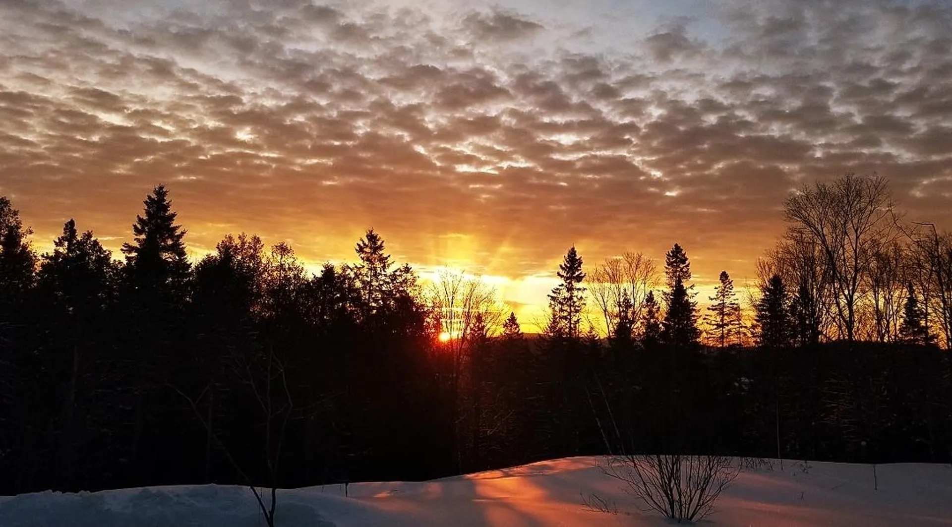 437 Phillips Road Glover VT 05875