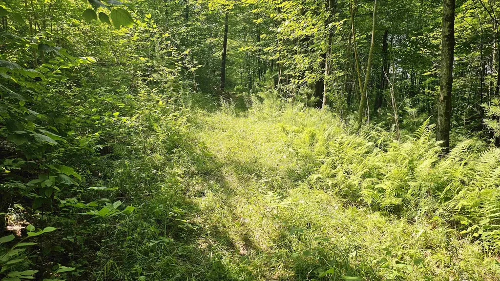 0 Hurlbut Hill Lane Waterford VT 05819