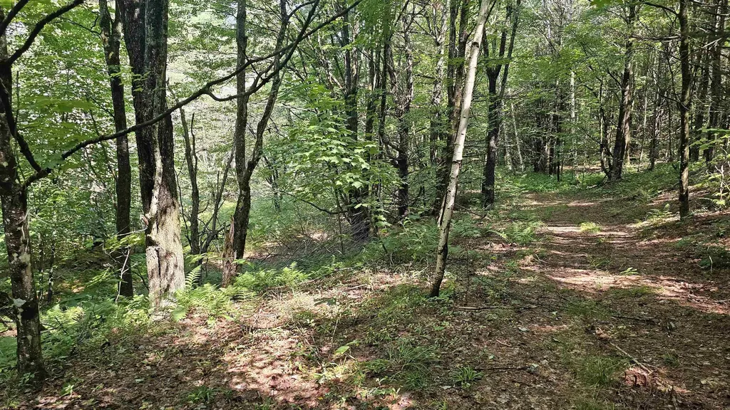 0 Hurlbut Hill Lane Waterford VT 05819