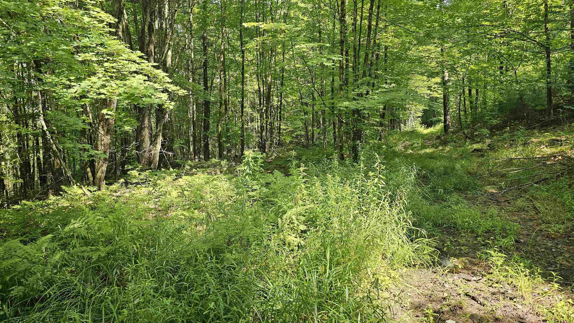 0 Hurlbut Hill Lane Waterford VT 05819