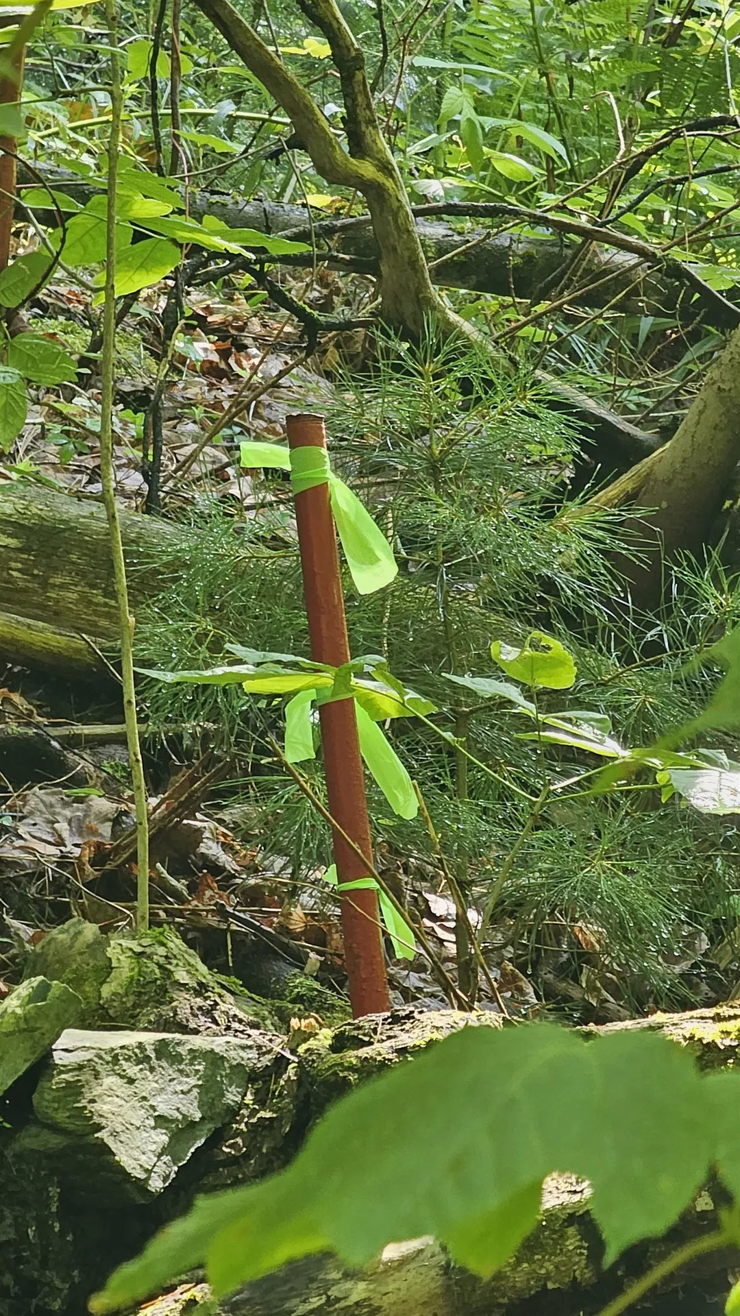 0 Hurlbut Hill Lane Waterford VT 05819