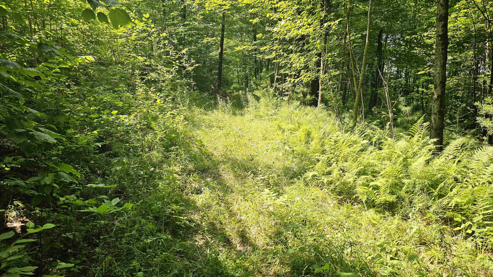 0 Hurlbut Hill Lane Waterford VT 05819