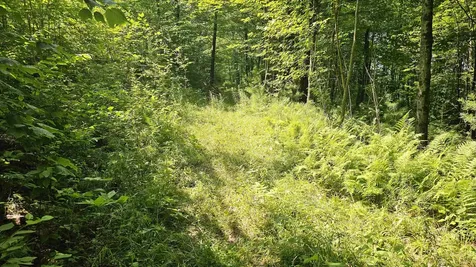 0 Hurlbut Hill Lane Waterford VT 05819