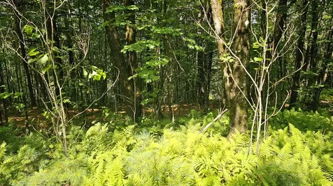 0 Hurlbut Hill Lane Waterford VT 05819