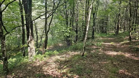 0 Hurlbut Hill Lane Waterford VT 05819