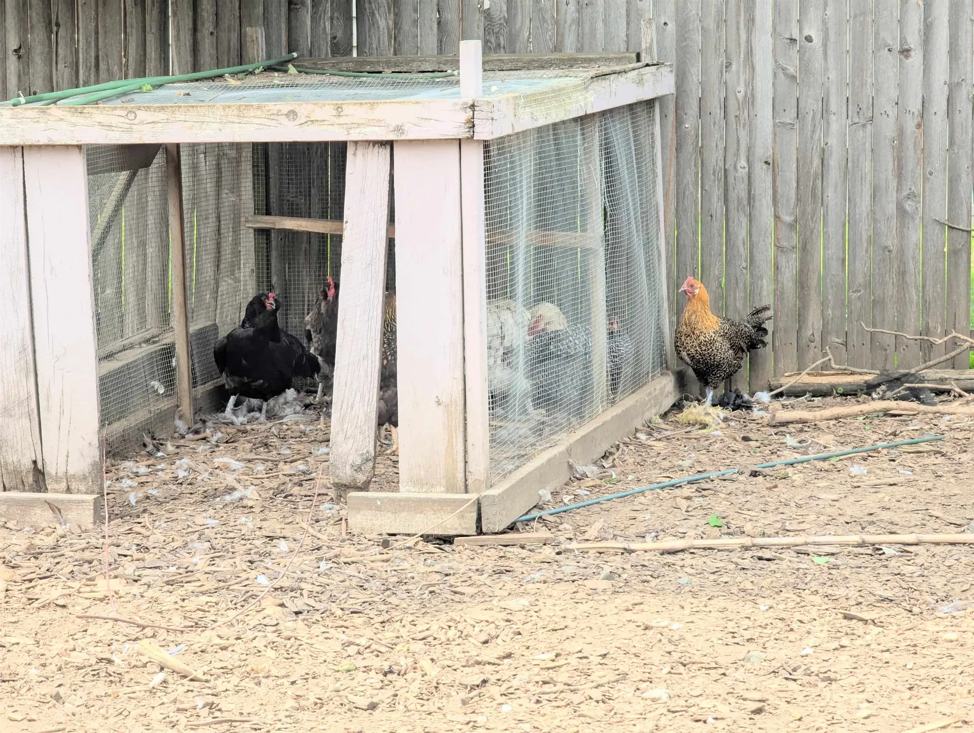 28 Charland Street Lyndon VT 05851