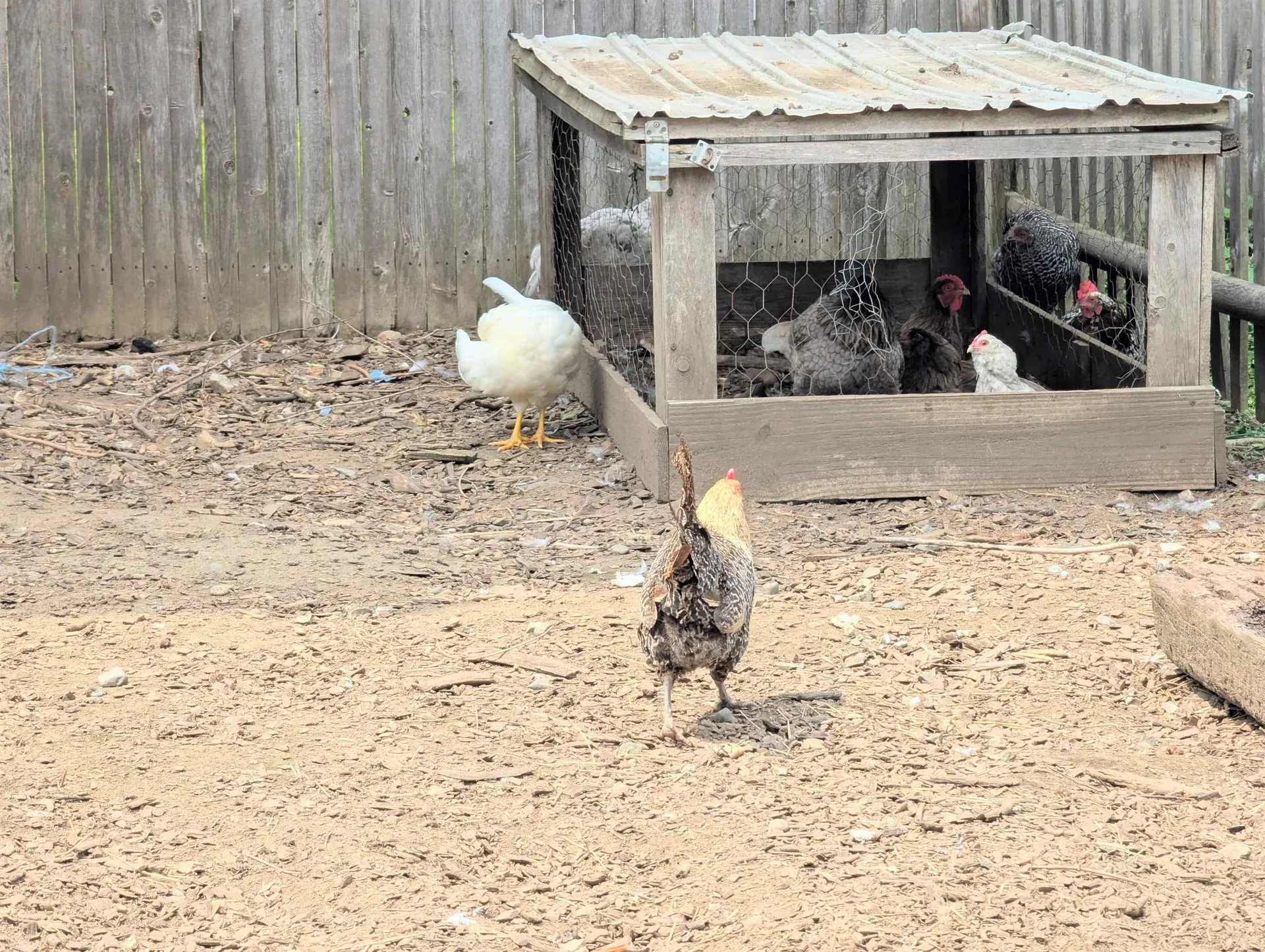 28 Charland Street Lyndon VT 05851