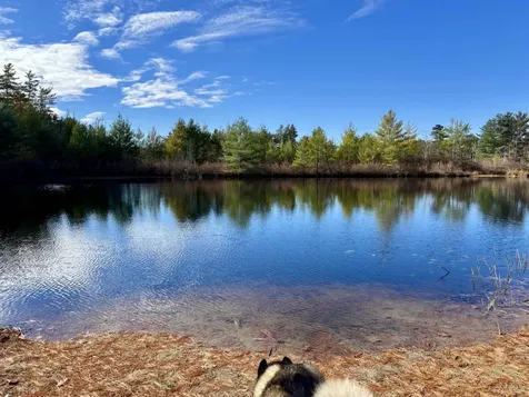 31 Beatrice Street Danville NH 03819-5148