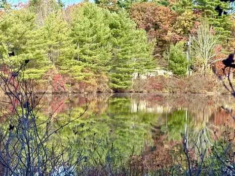 31 Beatrice Street Danville NH 03819-5148