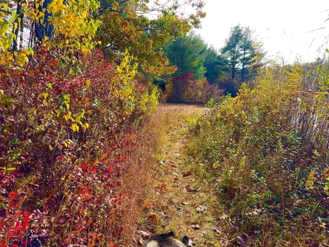 31 Beatrice Street Danville NH 03819-5148