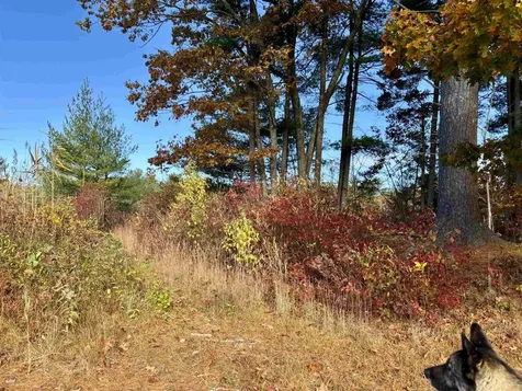 31 Beatrice Street Danville NH 03819-5148