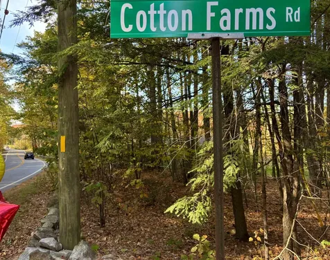 31 Beatrice Street Danville NH 03819-5148