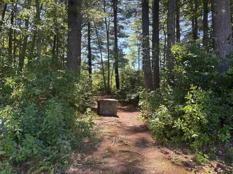 31 Beatrice Street Danville NH 03819-5148