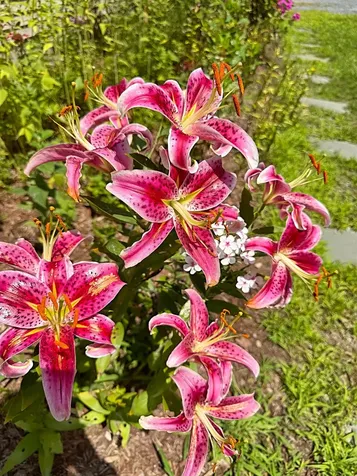 96 Quaker City Road Unity NH 03603