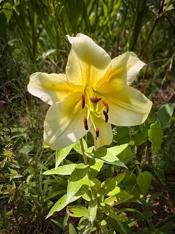 96 Quaker City Road Unity NH 03603