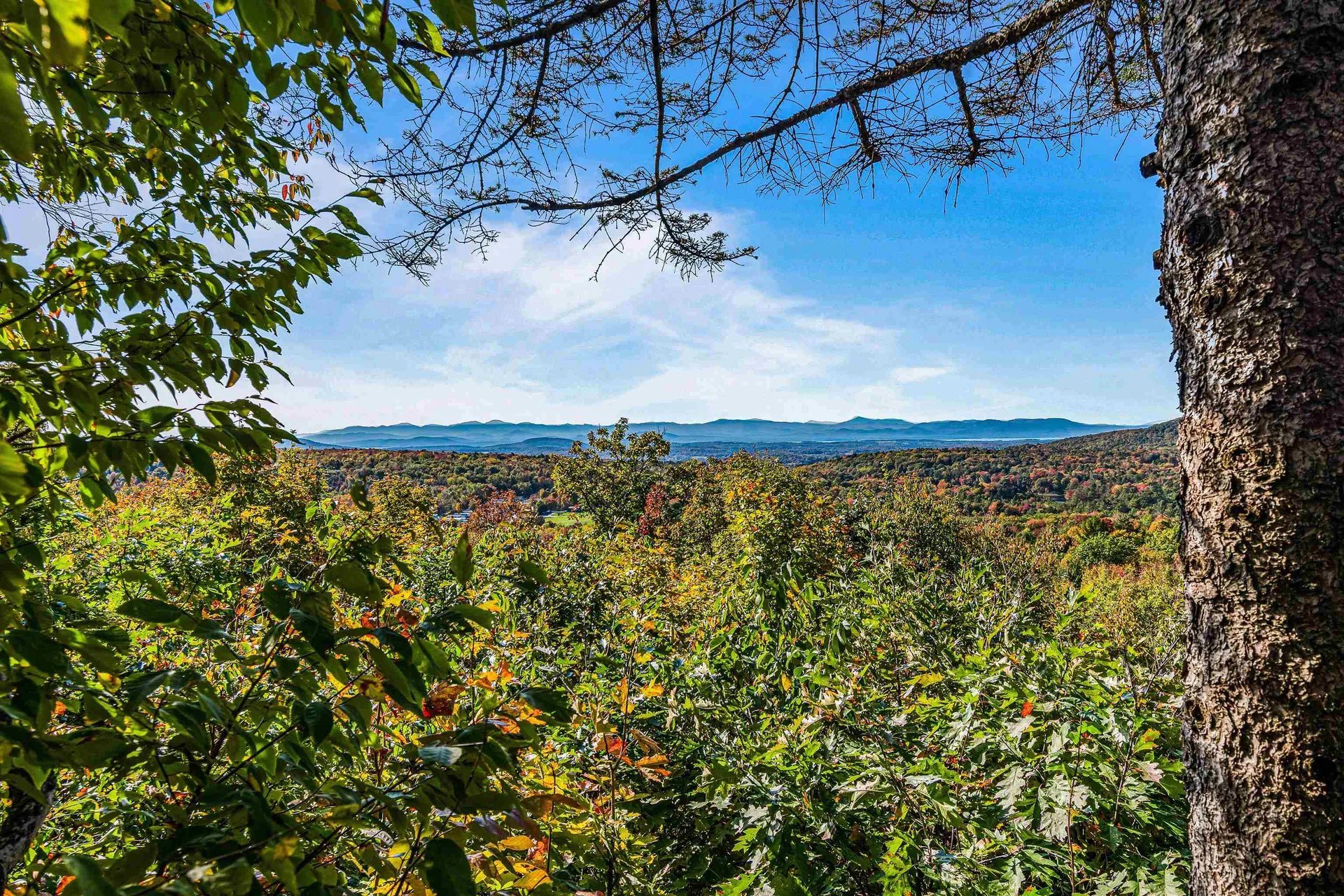 635 Texas Hill Road Hinesburg VT 05461-9567