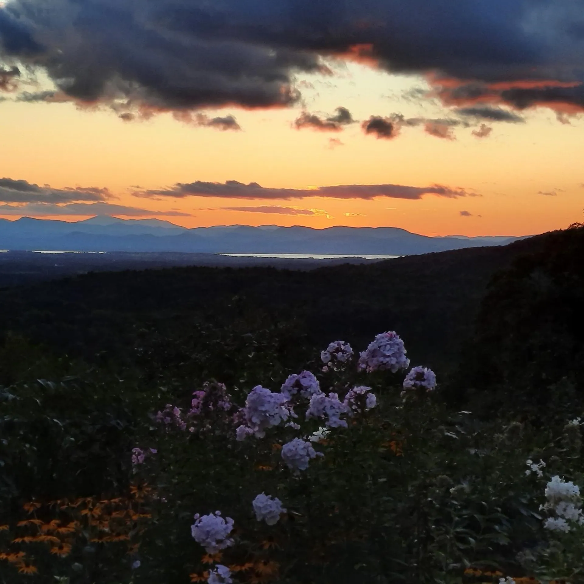 635 Texas Hill Road Hinesburg VT 05461-9567