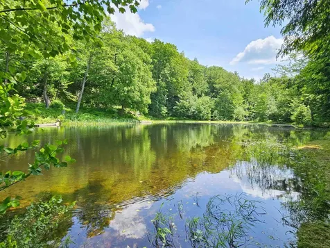 635 Texas Hill Road Hinesburg VT 05461-9567