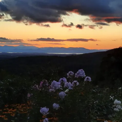 635 Texas Hill Road Hinesburg VT 05461-9567