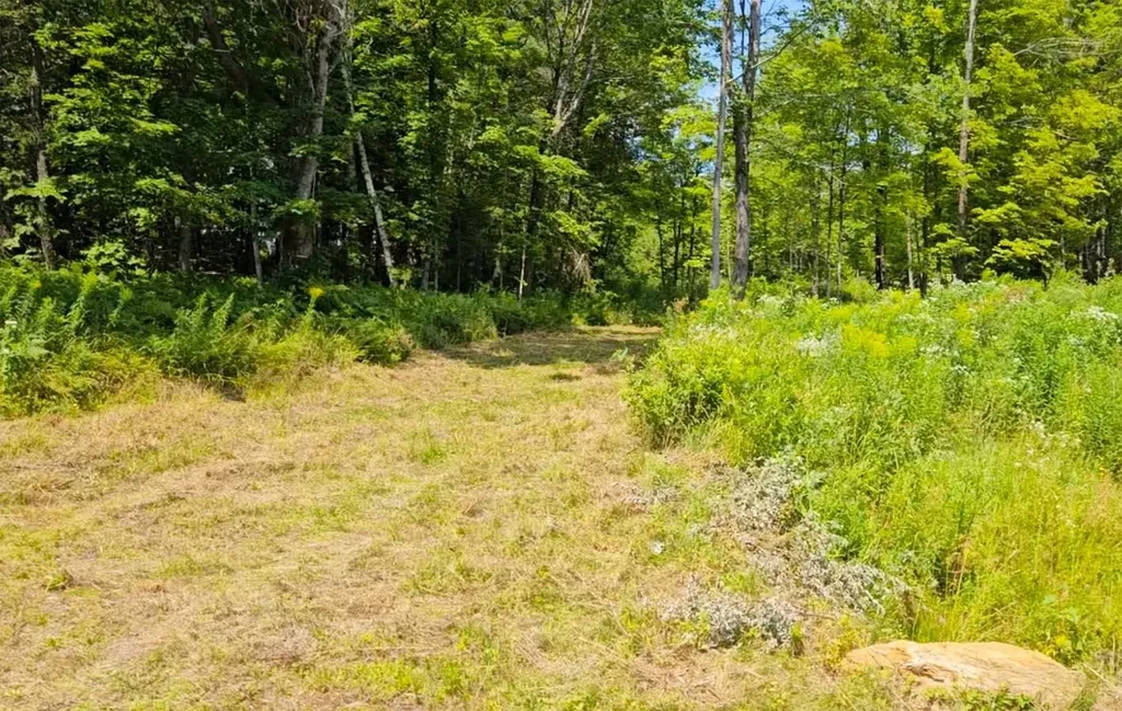 337 Lakeview Lane Elmore VT 05680