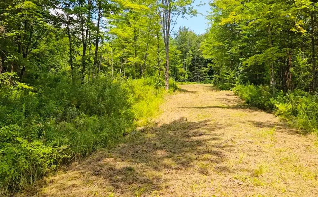 337 Lakeview Lane Elmore VT 05680