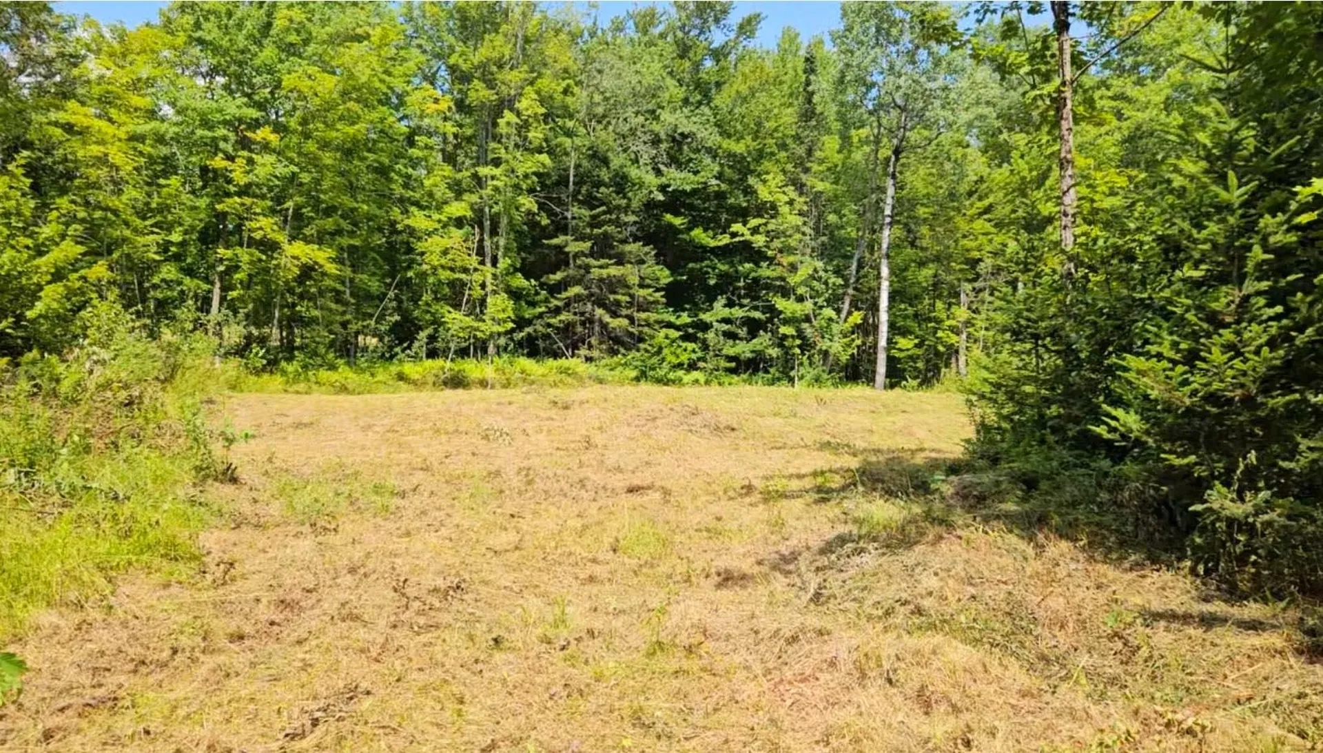 337 Lakeview Lane Elmore VT 05680