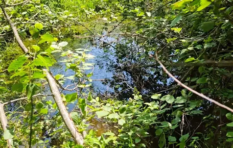 337 Lakeview Lane Elmore VT 05680