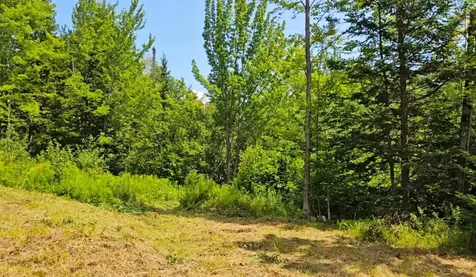 337 Lakeview Lane Elmore VT 05680