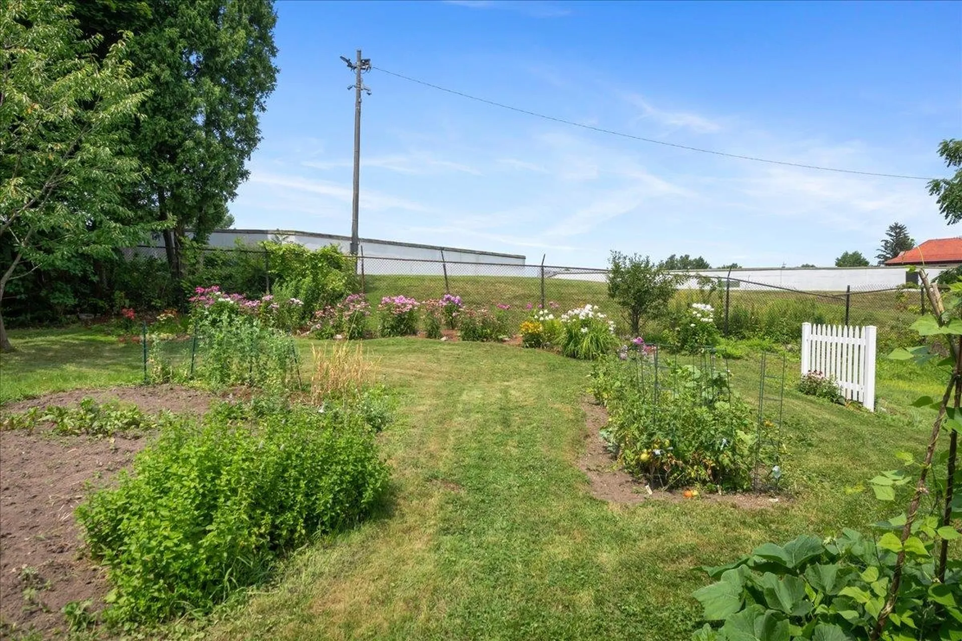 25 University Terrace Burlington VT 05401