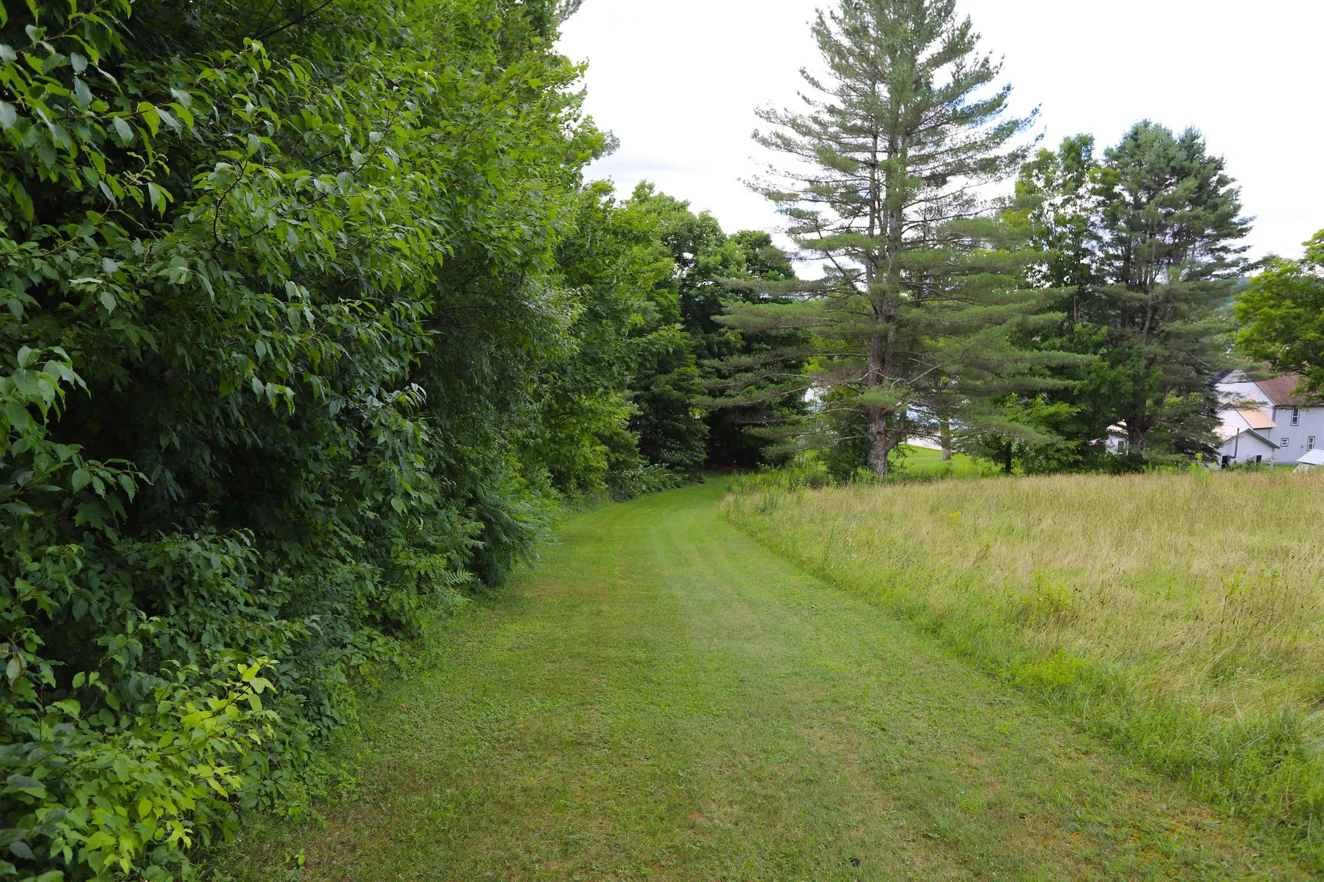 1074 Vt Route 100 Westfield VT 05874