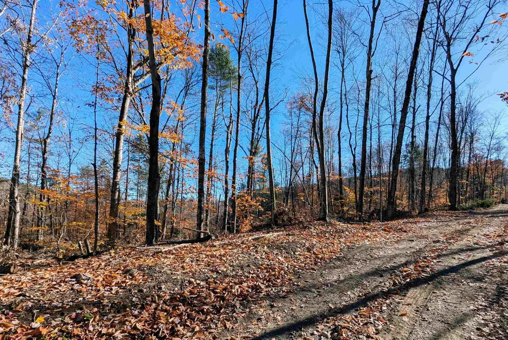 0 Dover Road Newfane VT 05351