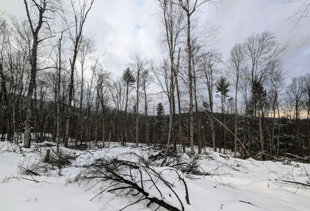 0 Dover Road Newfane VT 05351