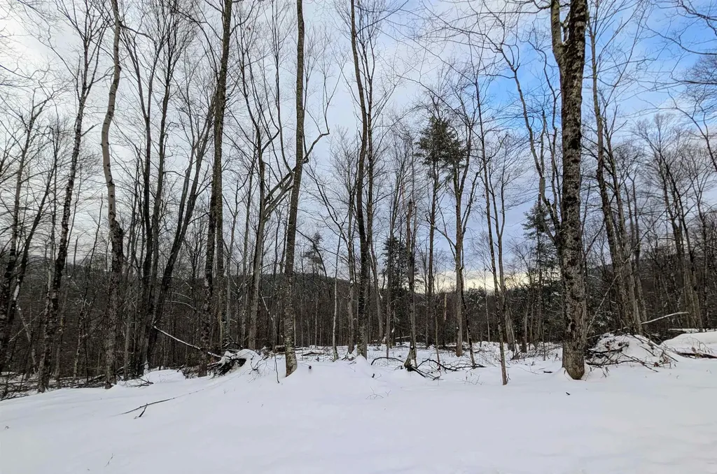 0 Dover Road Newfane VT 05351