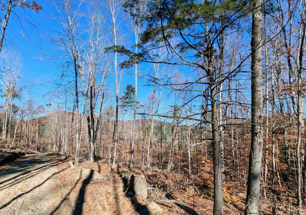 0 Dover Road Newfane VT 05351