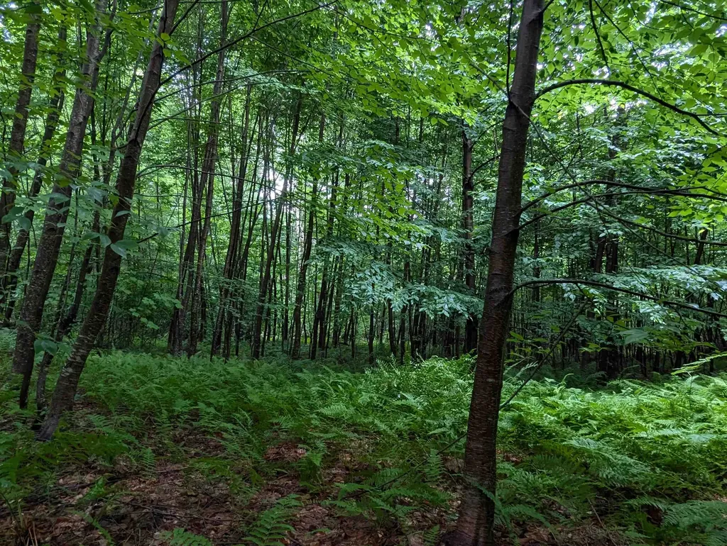 0 Dover Road Newfane VT 05351