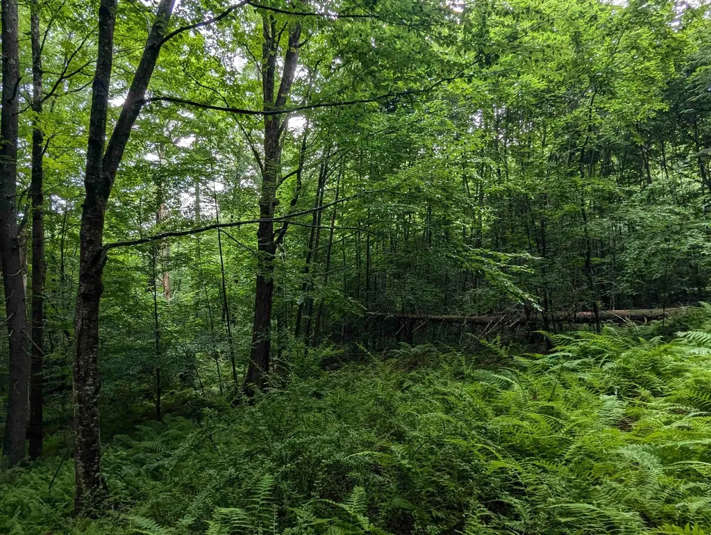 0 Dover Road Newfane VT 05351