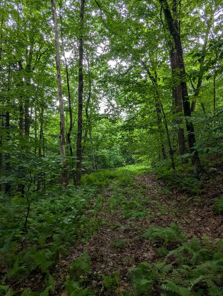 0 Dover Road Newfane VT 05351