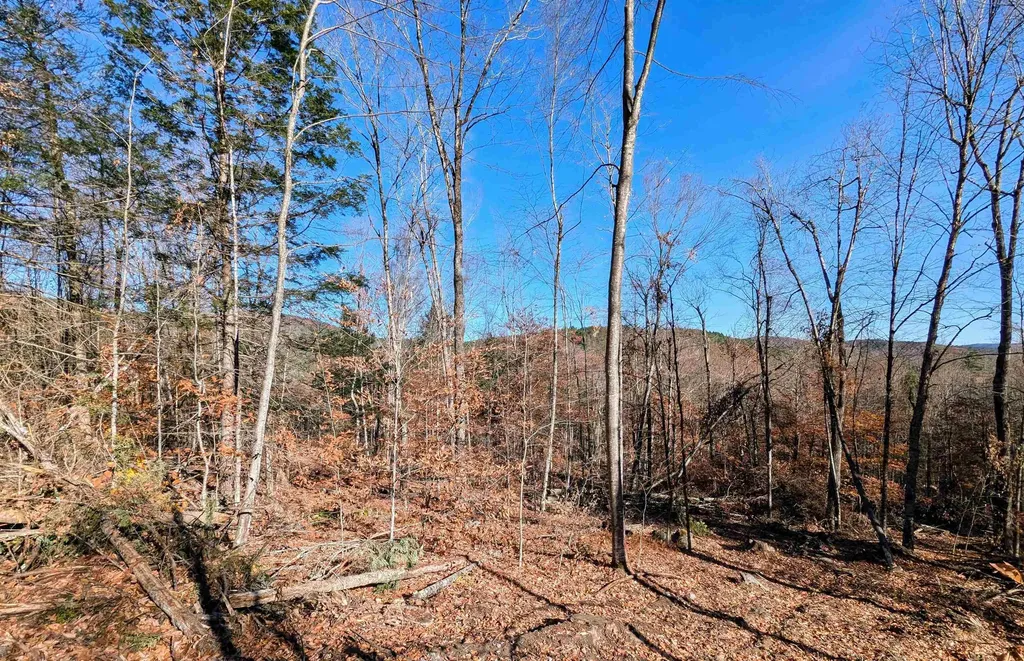 0 Dover Road Newfane VT 05351