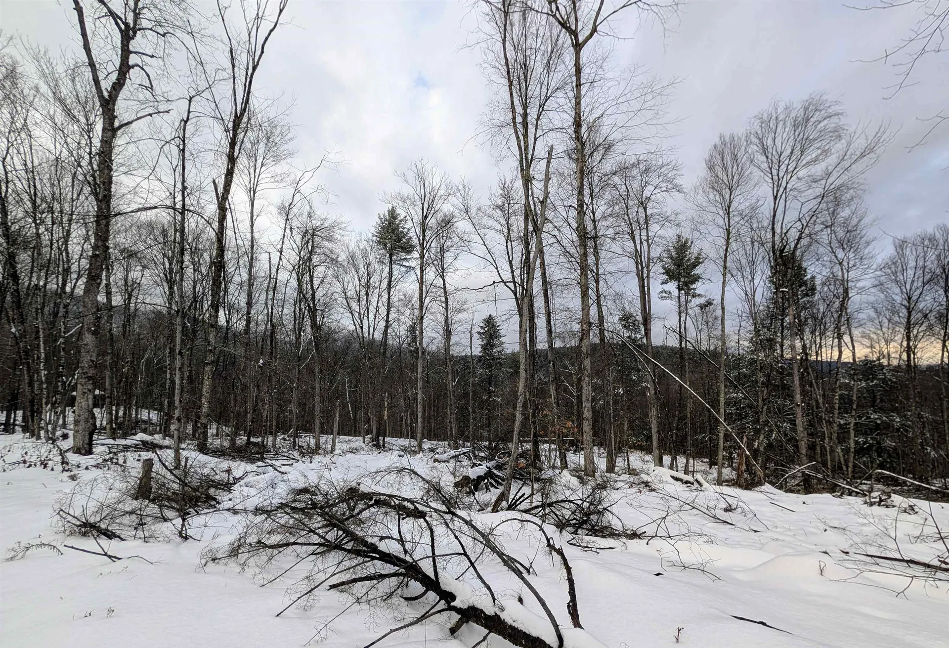 0 Dover Road Newfane VT 05351