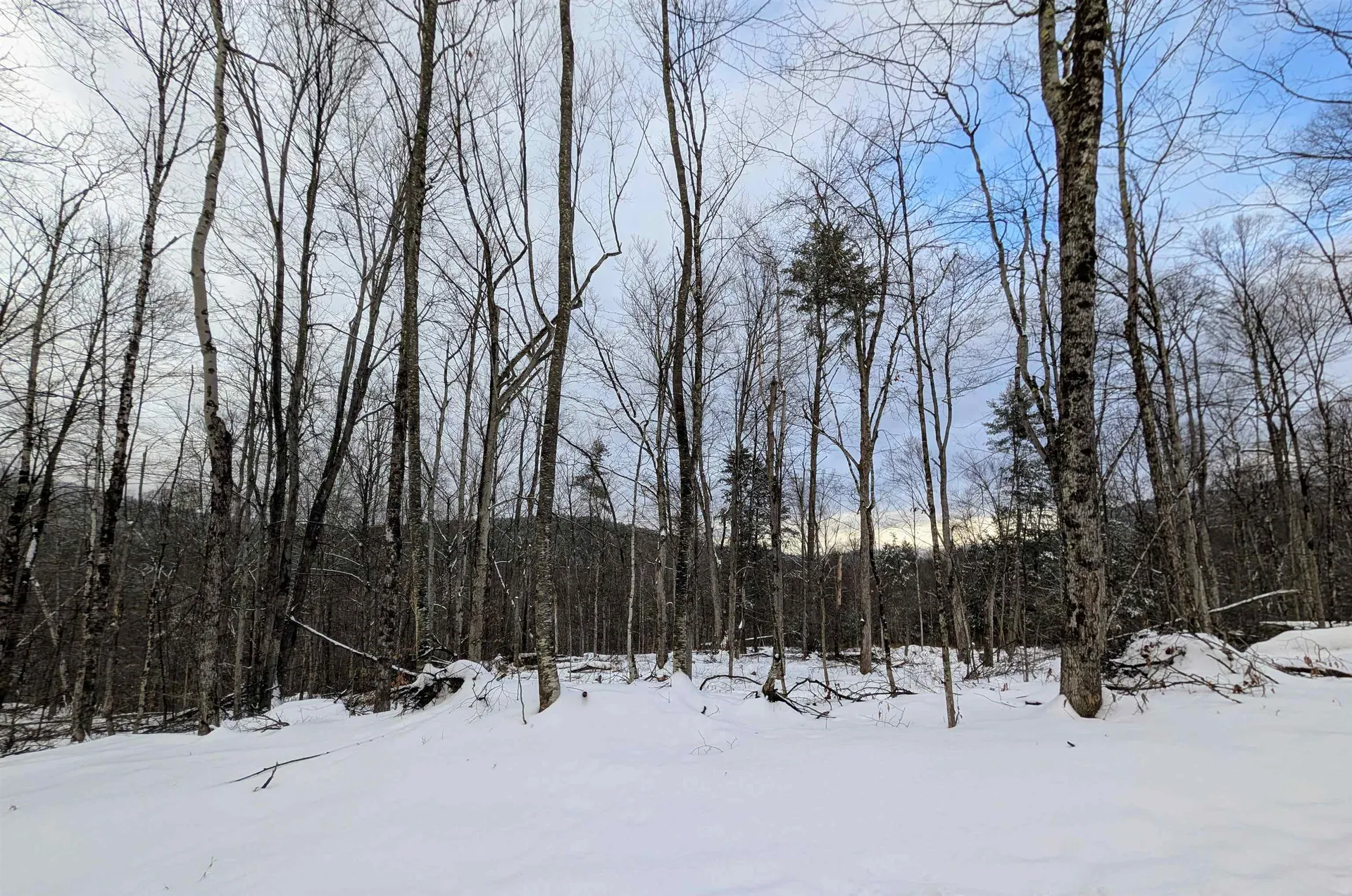 0 Dover Road Newfane VT 05351