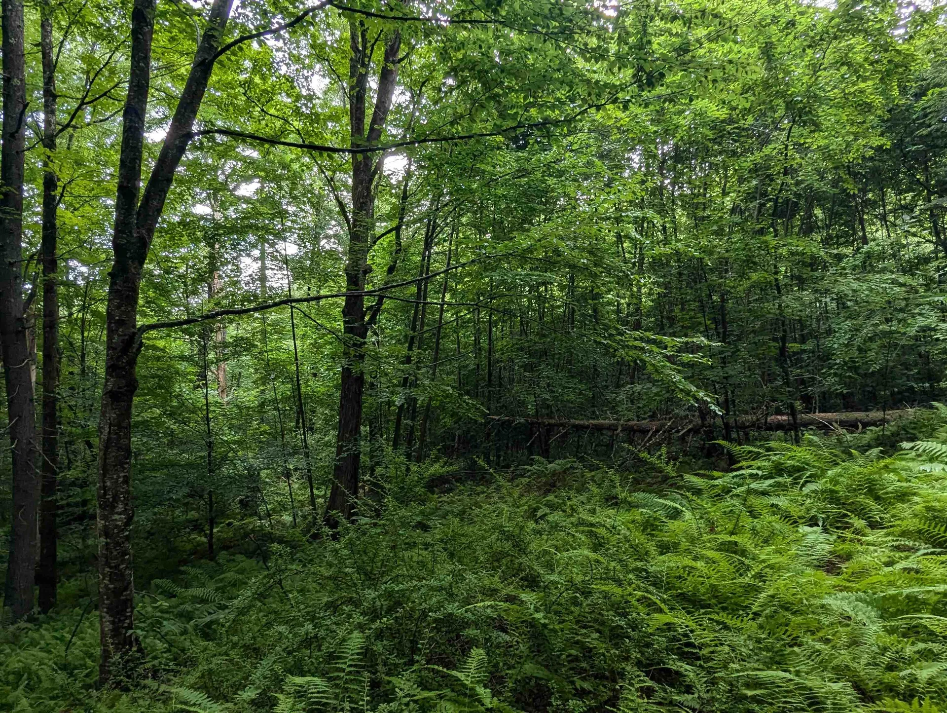 0 Dover Road Newfane VT 05351