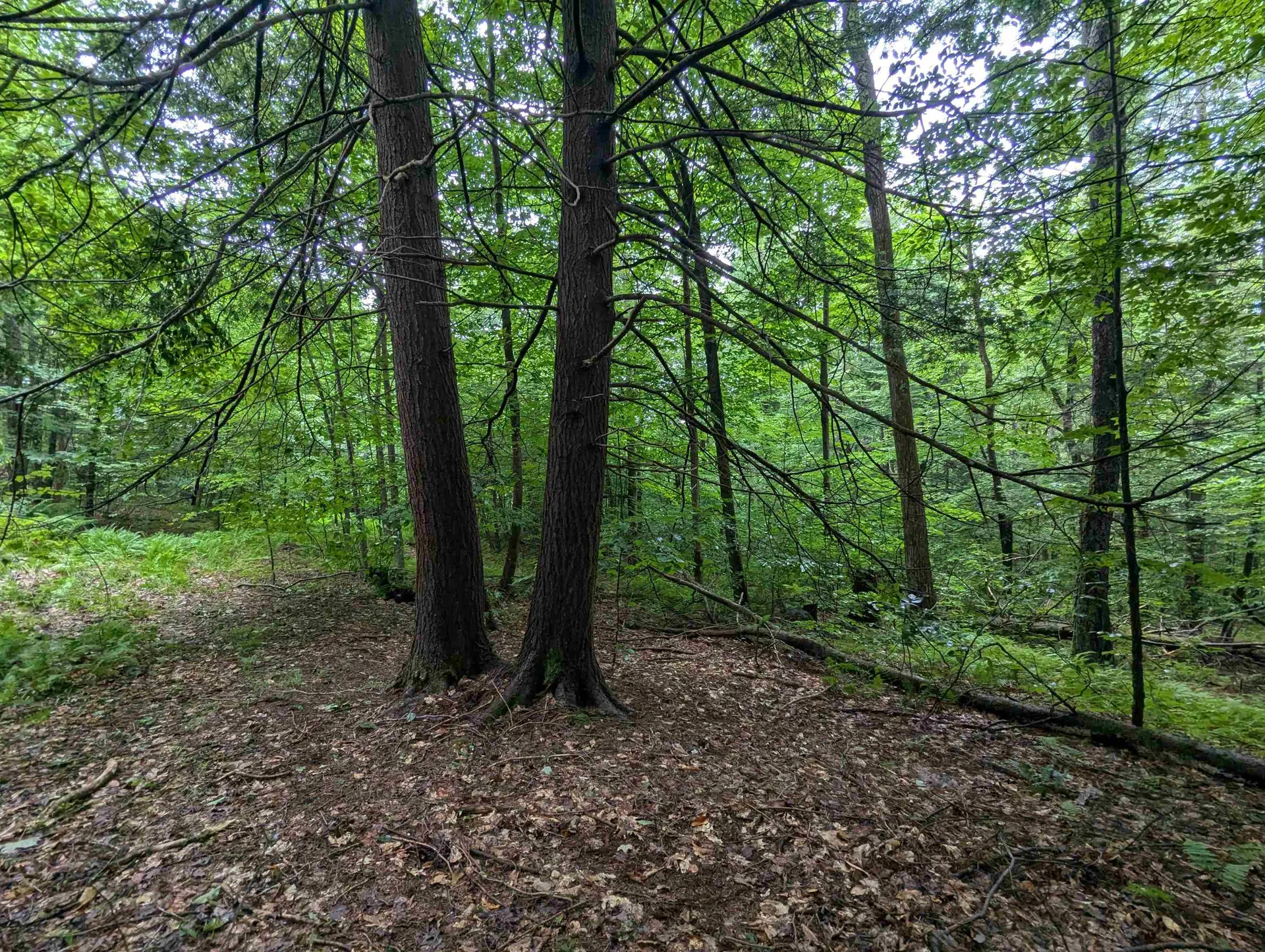 0 Dover Road Newfane VT 05351