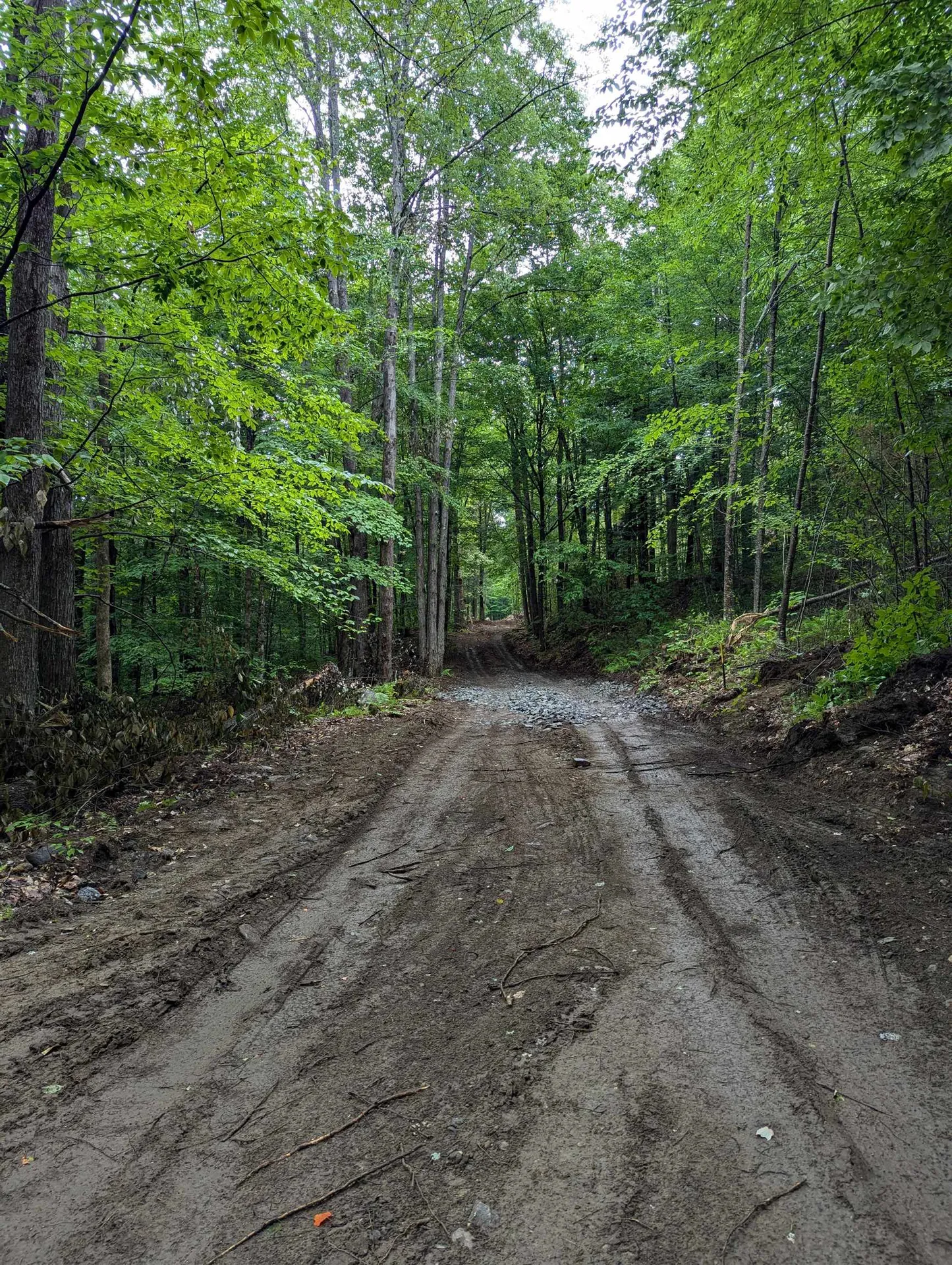 0 Dover Road Newfane VT 05351