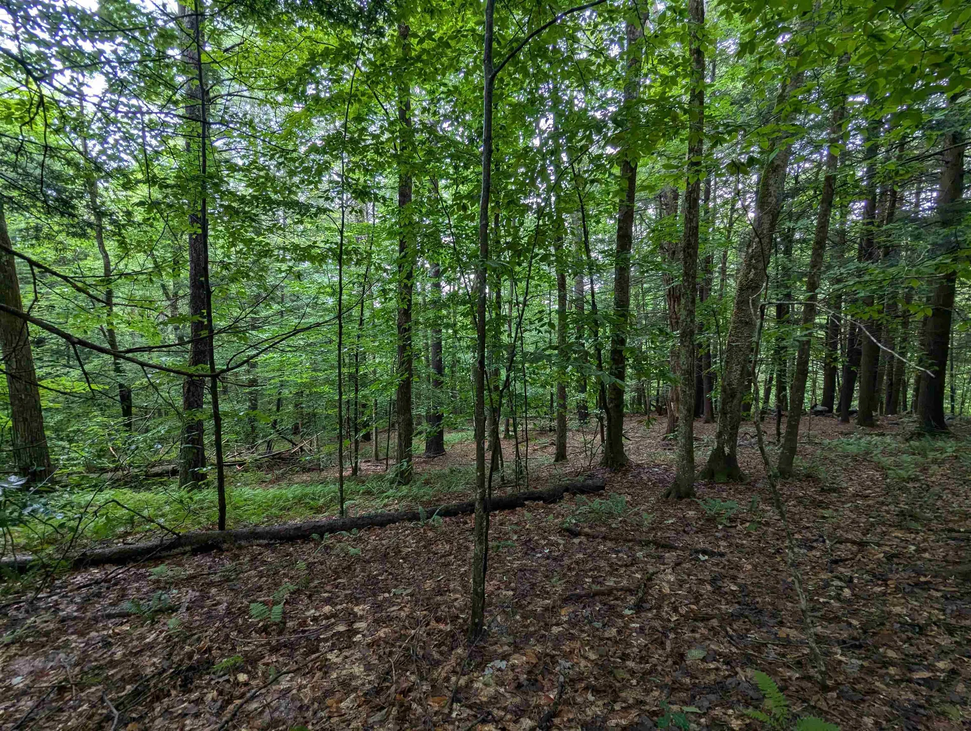 0 Dover Road Newfane VT 05351