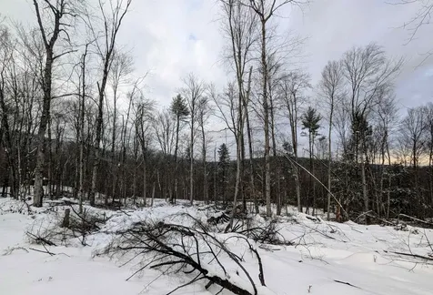 0 Dover Road Newfane VT 05351