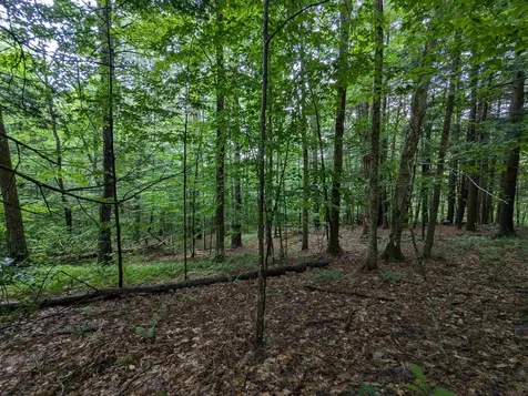 0 Dover Road Newfane VT 05351