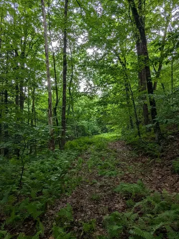 0 Dover Road Newfane VT 05351