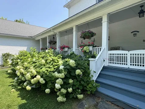 283 North End Road East North Hero VT 05747